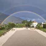 Primavera *
