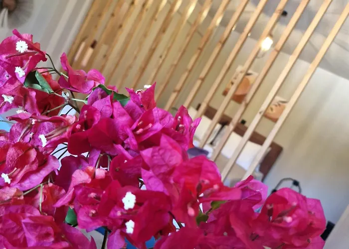 Primavera *