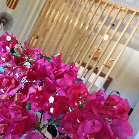 Primavera *