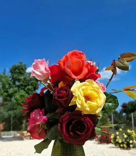 Primavera Andipáta